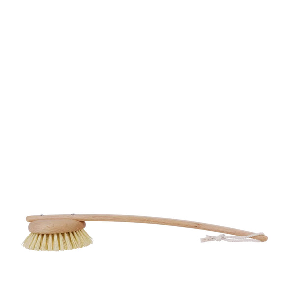 Dish brush with wooden handle and natural bristles on a white background